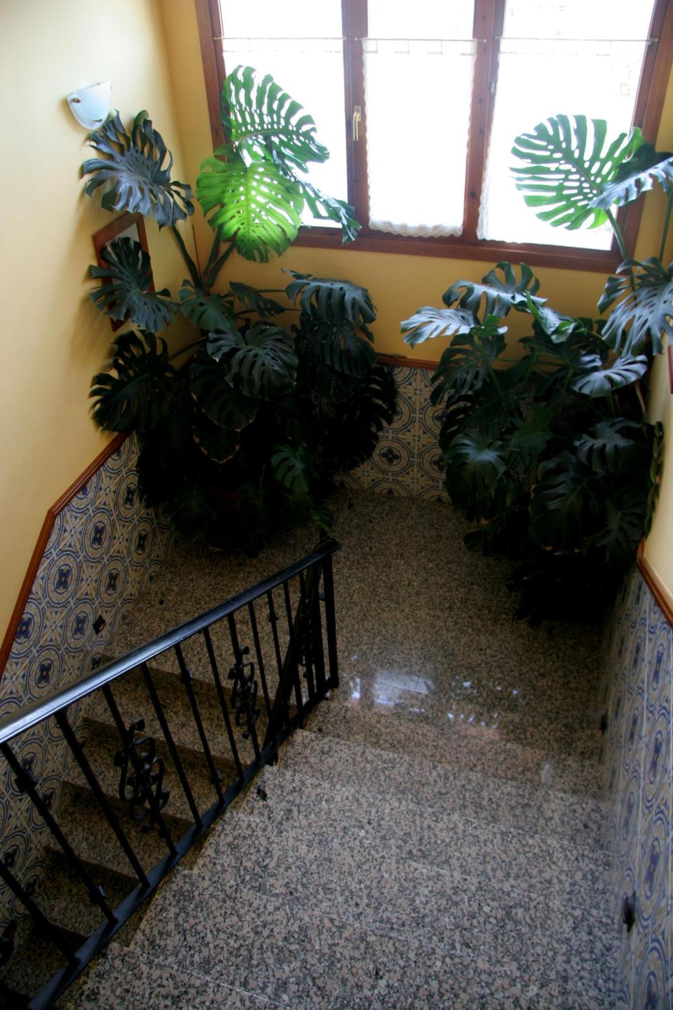 Hostal Casa Barranco Castejón del Puente Extérieur photo